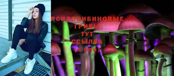 гашик Ростов