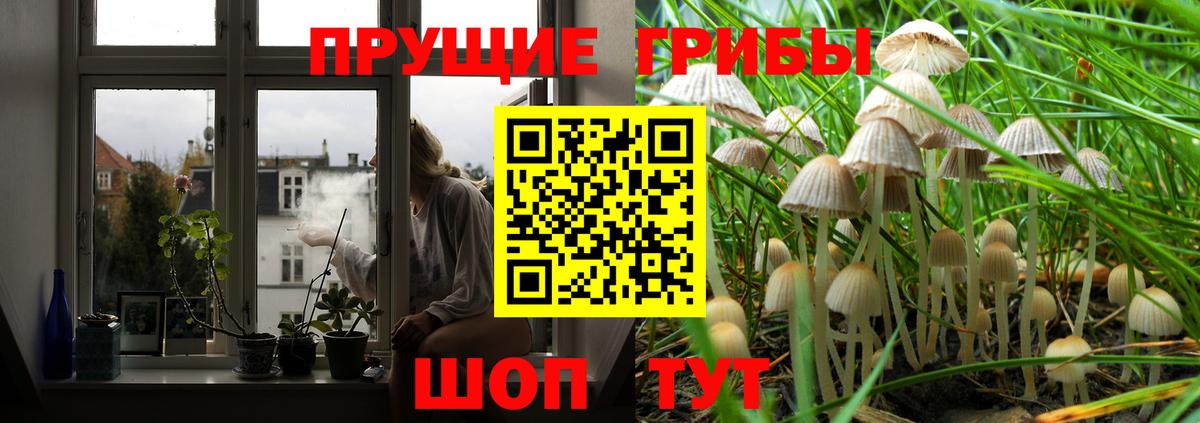Псилоцибиновые грибы MAGIC MUSHROOMS Грязи