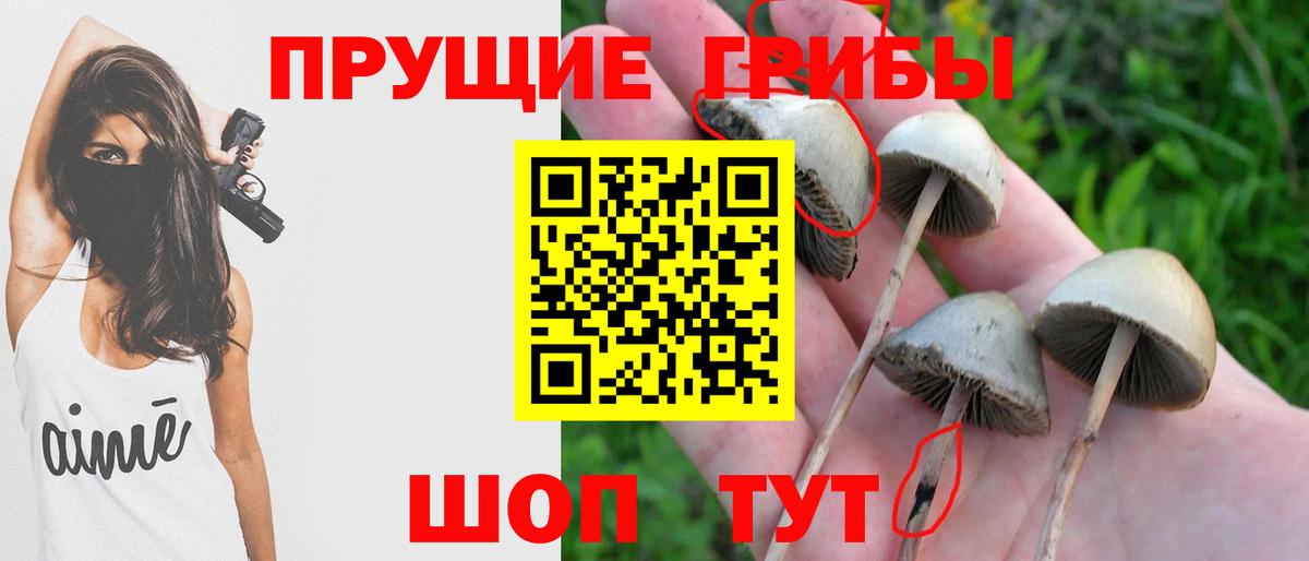 Грязи  Галлюциногенные грибы Magic Shrooms  Вход с VPN 